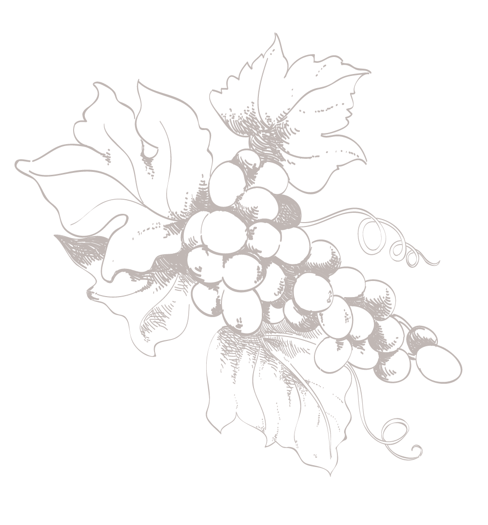 Bodegas Campos Córdoba: Historia, Gastronomía y Vinos