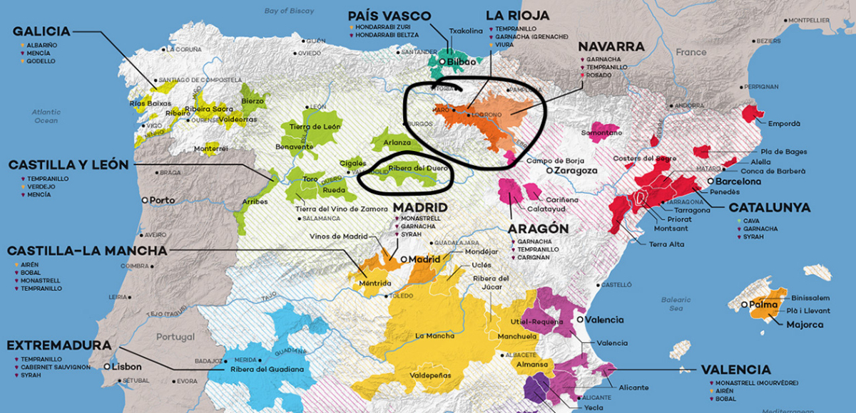 Ribera del Duero vs Rioja: ¿qué vino es mejor?